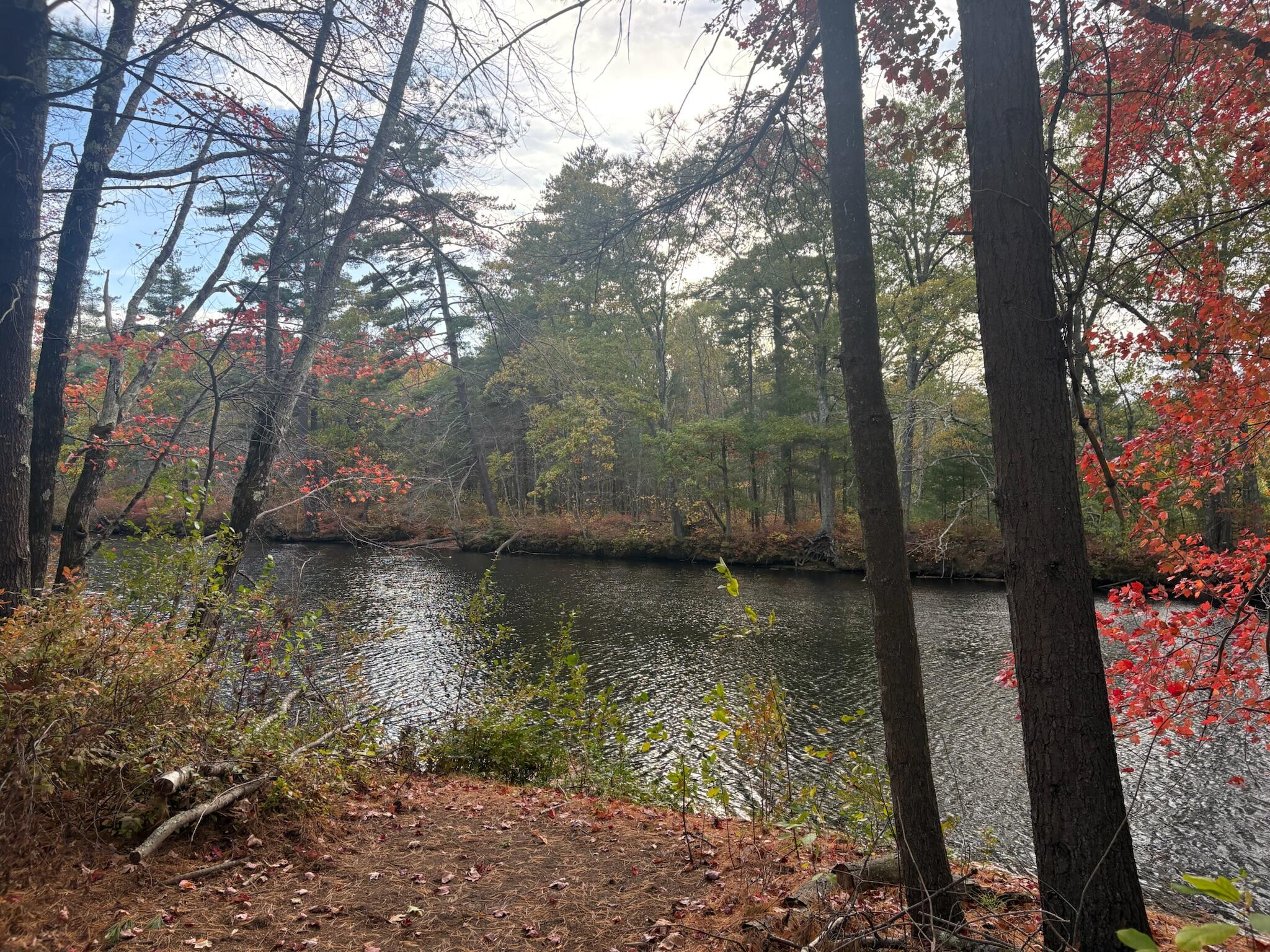 183 Rochester Street Berwick, ME 03901 - Photo 12 of 17 2B66F748-9D4B-46B3-BE44-9B58EDC3B074