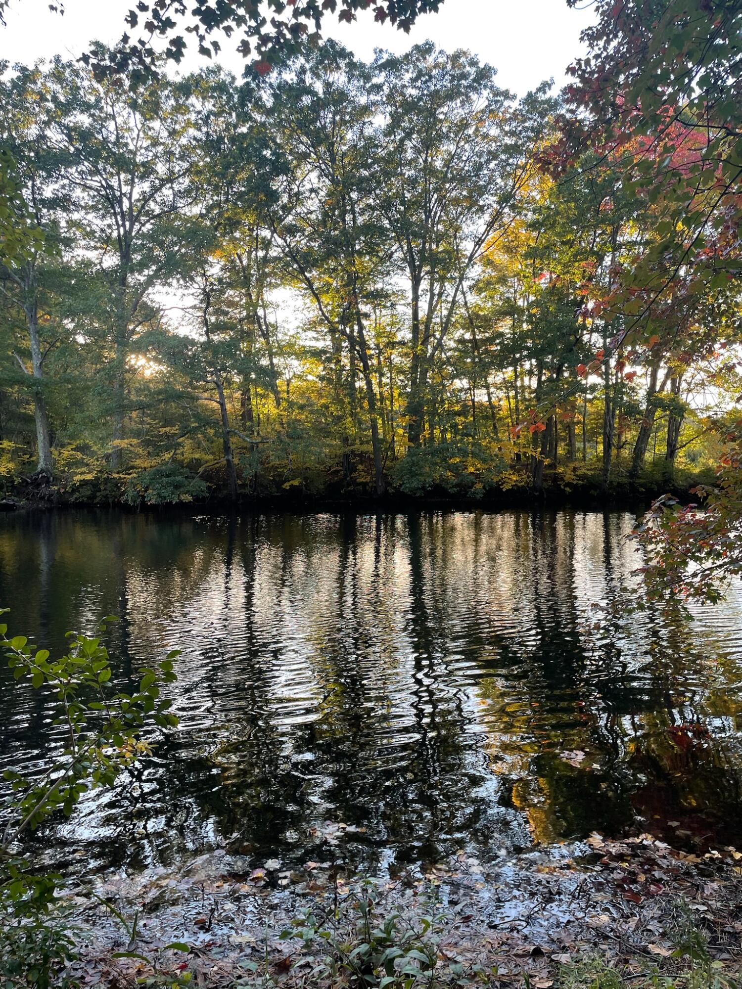 183 Rochester Street Berwick, ME 03901 - Photo 13 of 17 1D24628A-958F-4CE7-B36C-5C809F3B9289