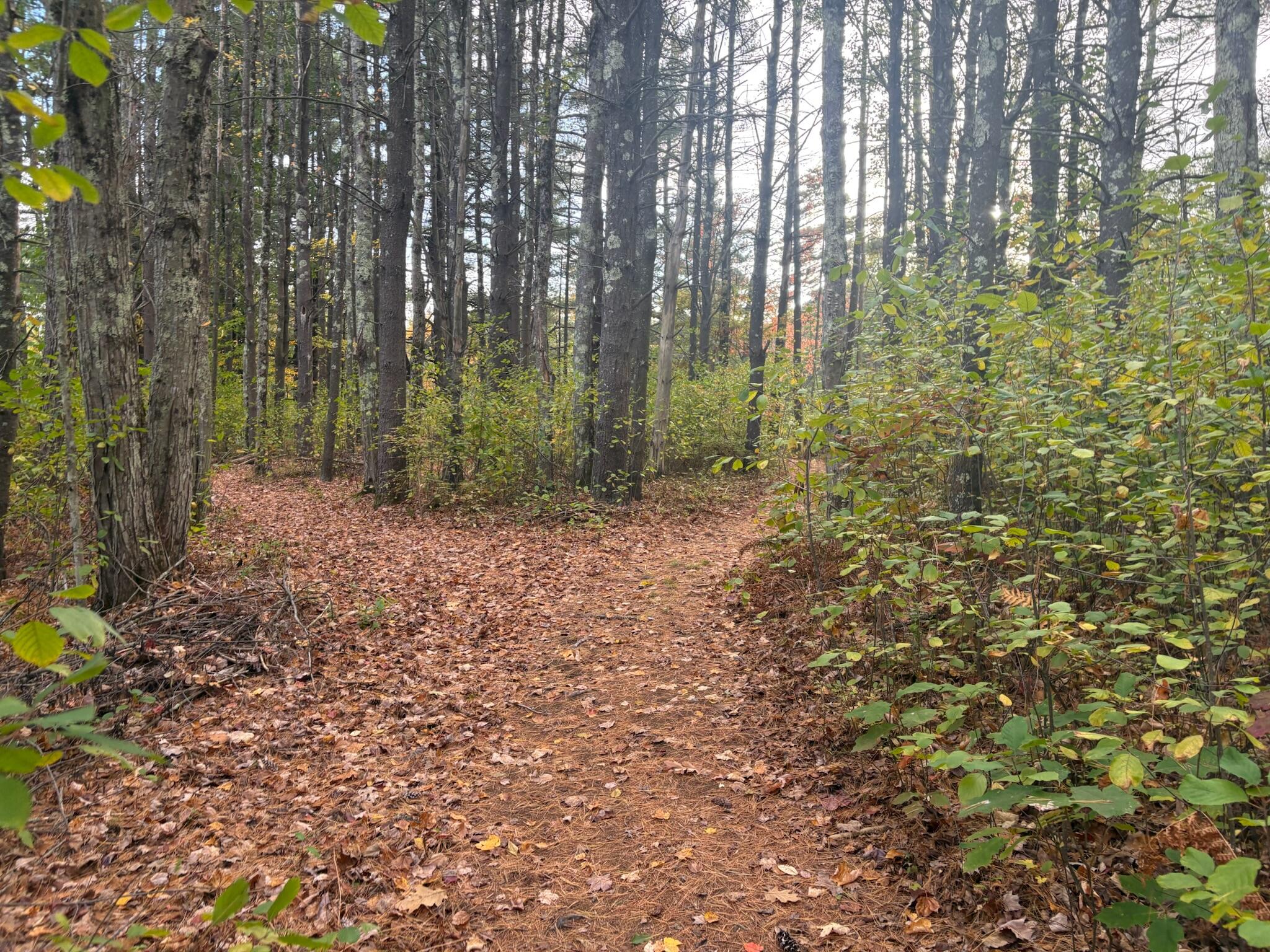 183 Rochester Street Berwick, ME 03901 - Photo 14 of 17 FEE31378-DC94-4AAC-BB27-DB542838EA51