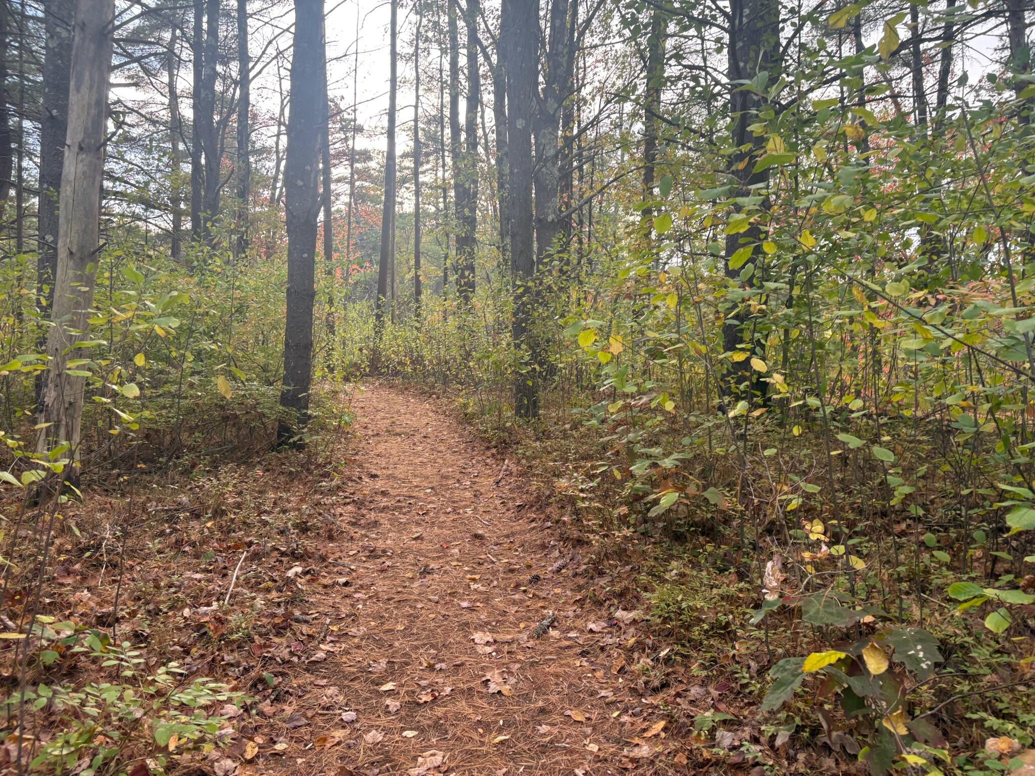 183 Rochester Street Berwick, ME 03901 - Photo 15 of 17 09670716-243B-40B9-8D0E-90BCF496DAD8