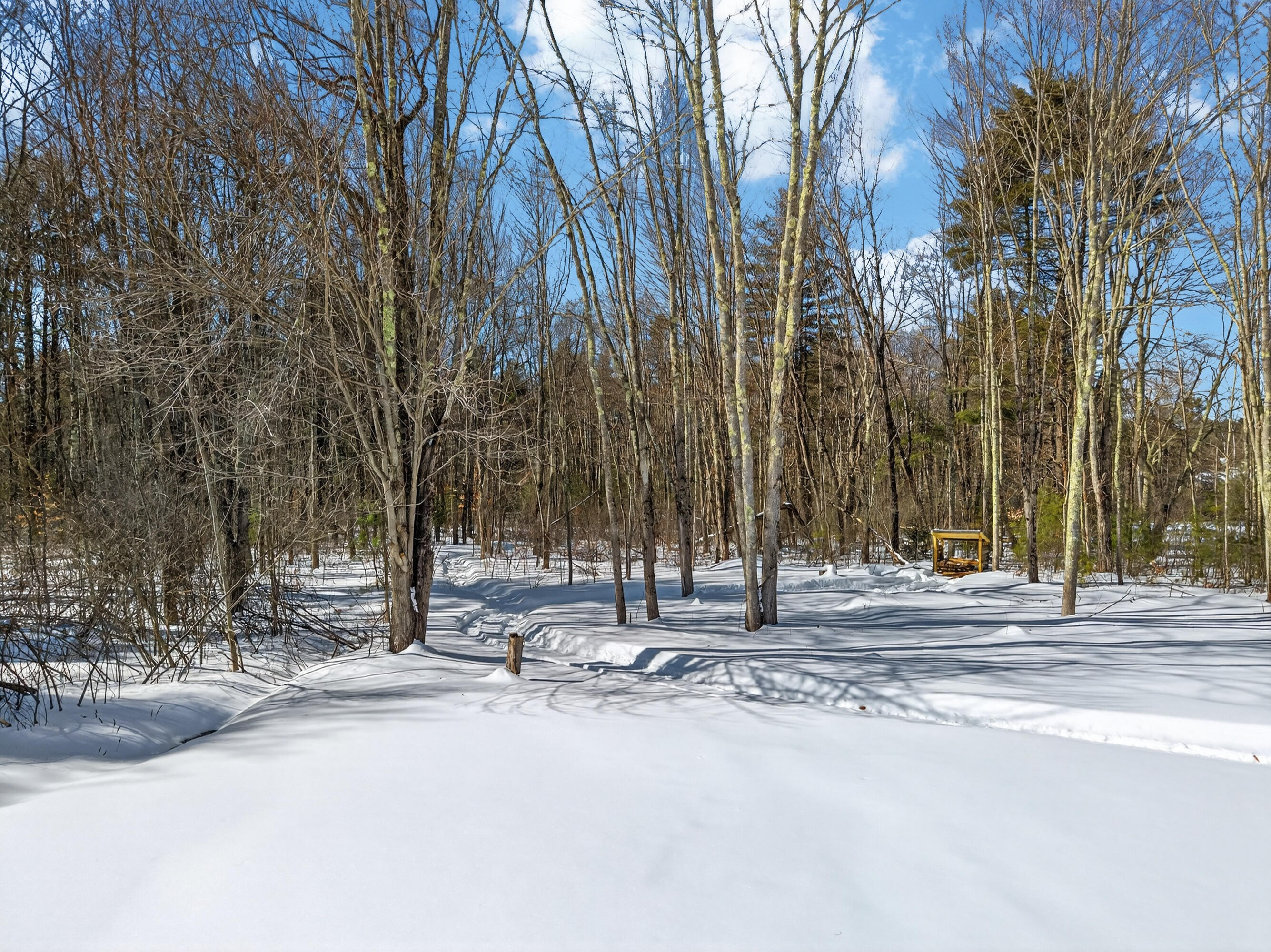 183 Rochester Street Berwick, ME 03901 - Photo 8 of 17 183 Rochester St_132