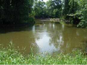 19991 13 B Road Culver, IN 46511 - Photo 10 of 12