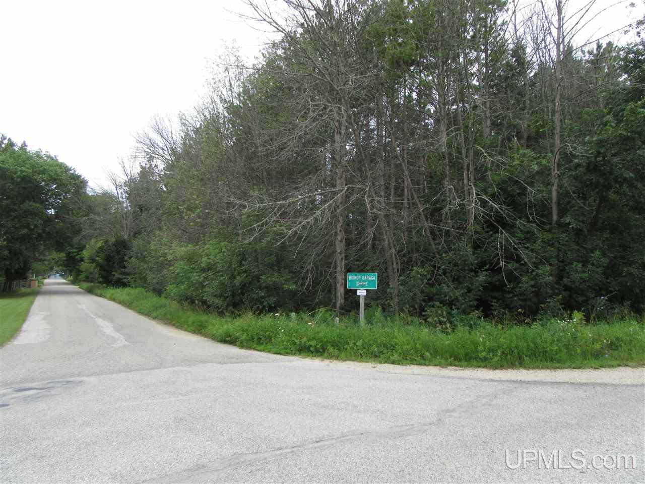 Tbd Arrowhead Road, Unit PARCEL B Manistique, MI 49854 - Photo 5 of 13