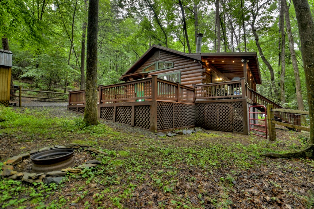 17 Chapman Lake Trail Blue Ridge, GA 30513 - Photo 10 of 35 Gallery Image 10