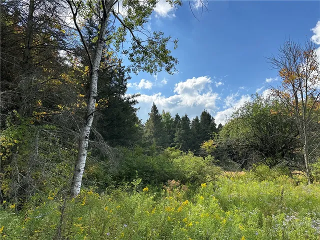 $44,900 | Vl Lot 8 McAndrews Road, Andover, NY 14806