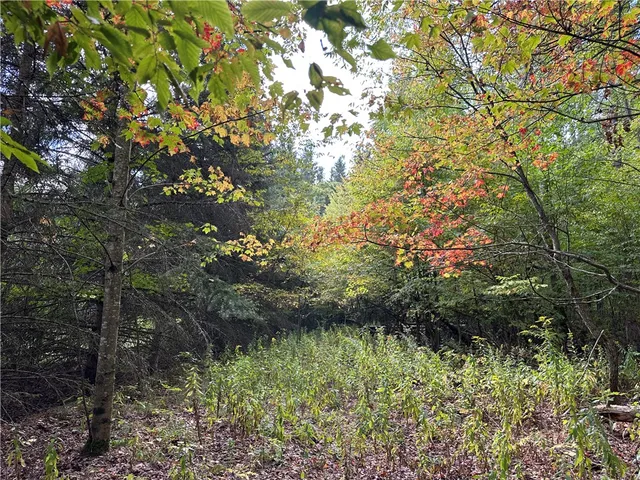 $44,900 | Vl Lot 8 McAndrews Road, Andover, NY 14806
