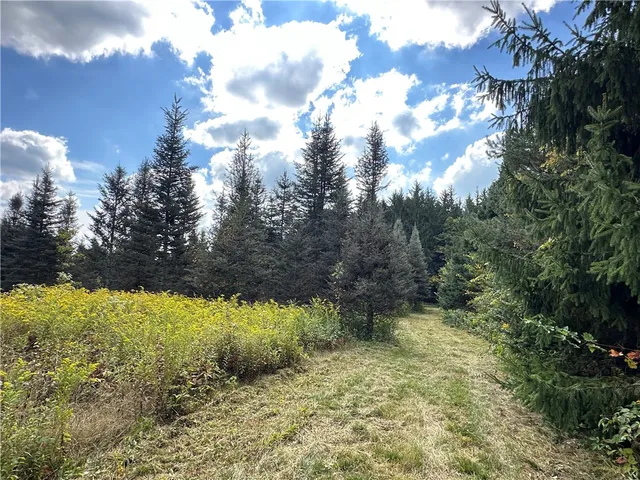 $44,900 | Vl Lot 8 McAndrews Road, Andover, NY 14806