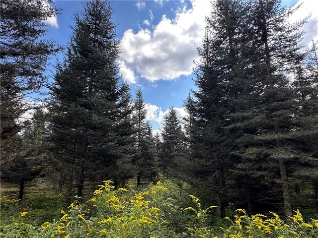 $44,900 | Vl Lot 8 McAndrews Road, Andover, NY 14806