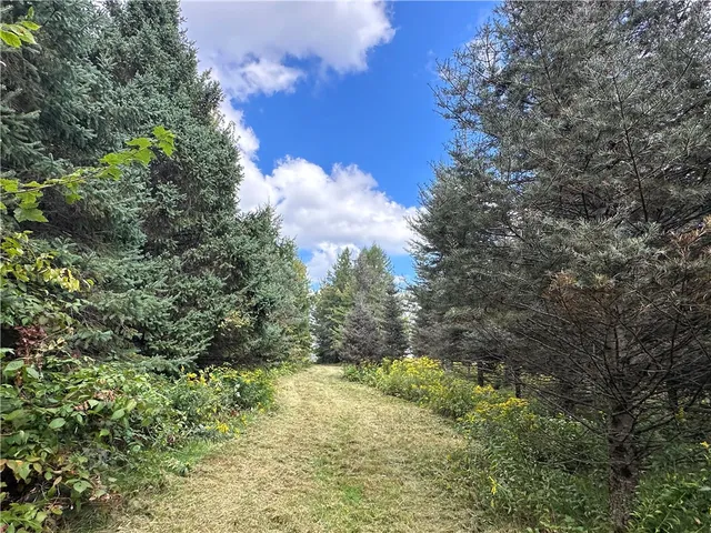 $44,900 | Vl Lot 8 McAndrews Road, Andover, NY 14806