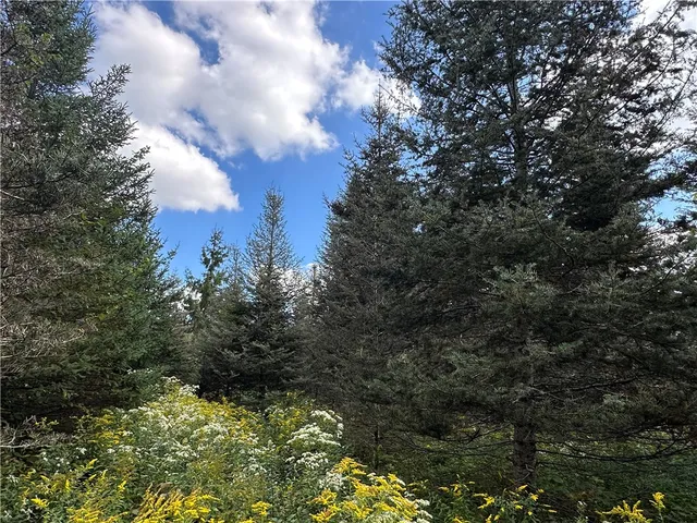 $44,900 | Vl Lot 8 McAndrews Road, Andover, NY 14806