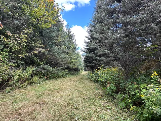 $44,900 | Vl Lot 8 McAndrews Road, Andover, NY 14806