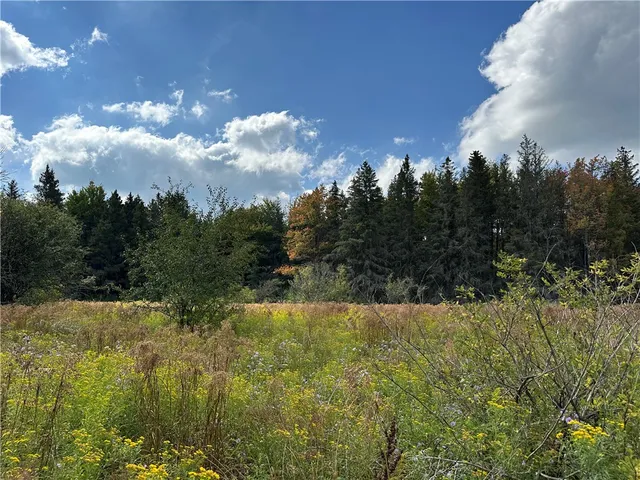 $44,900 | Vl Lot 8 McAndrews Road, Andover, NY 14806