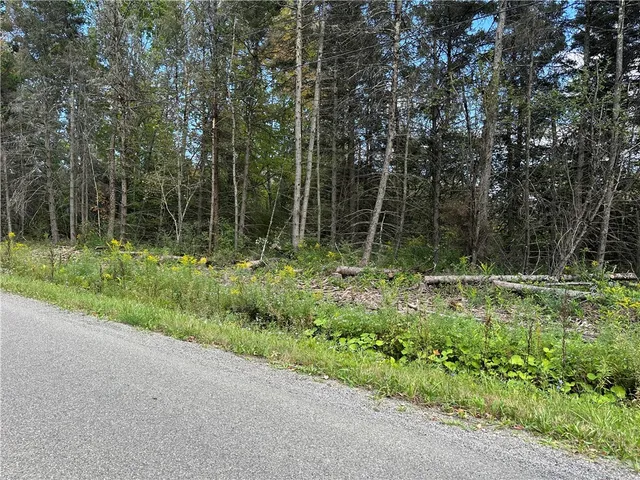 $44,900 | Vl Lot 8 McAndrews Road, Andover, NY 14806