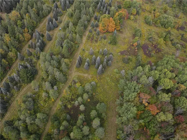 $44,900 | Vl Lot 8 McAndrews Road, Andover, NY 14806