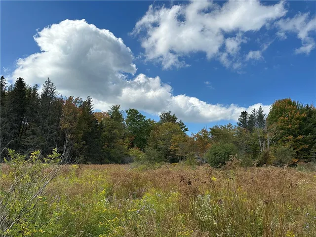 $44,900 | Vl Lot 8 McAndrews Road, Andover, NY 14806