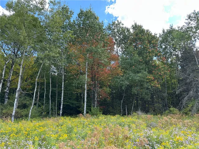 $44,900 | Vl Lot 8 McAndrews Road, Andover, NY 14806