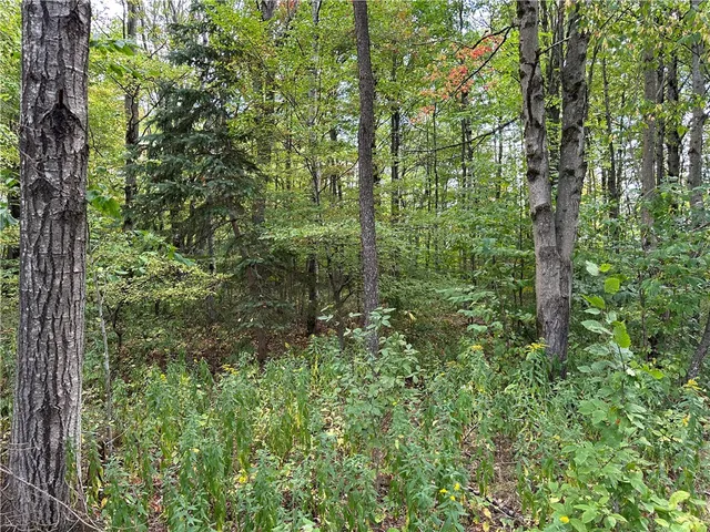 $44,900 | Vl Lot 8 McAndrews Road, Andover, NY 14806