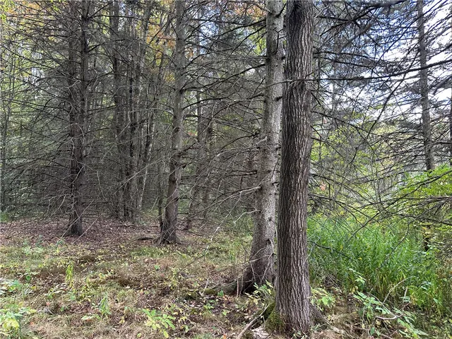 $44,900 | Vl Lot 8 McAndrews Road, Andover, NY 14806