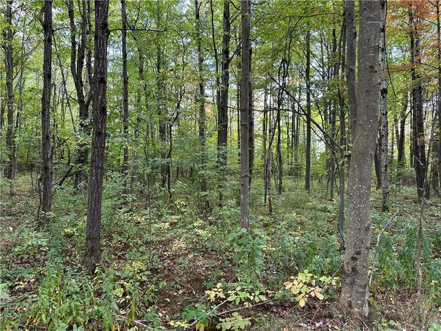 $44,900 | Vl Lot 8 McAndrews Road, Andover, NY 14806