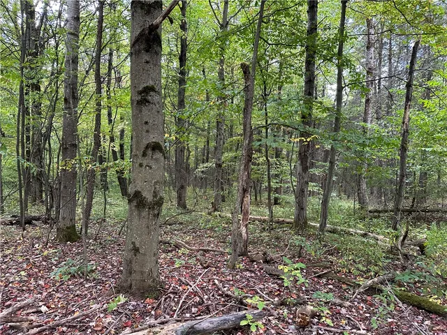 $44,900 | Vl Lot 8 McAndrews Road, Andover, NY 14806