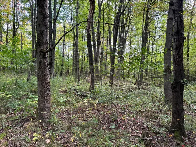 $44,900 | Vl Lot 8 McAndrews Road, Andover, NY 14806