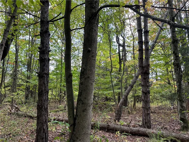 $44,900 | Vl Lot 8 McAndrews Road, Andover, NY 14806