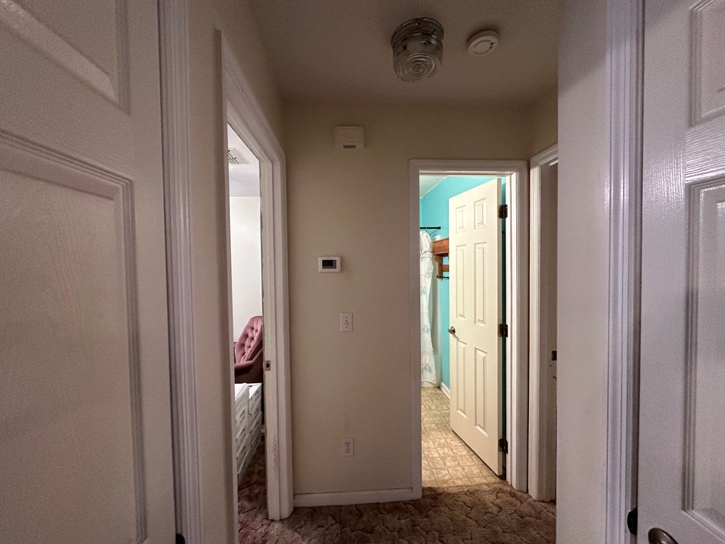 1245 Pine Hill Road Cairo, GA 39828 - Photo 18 of 23 Gallery Image 18