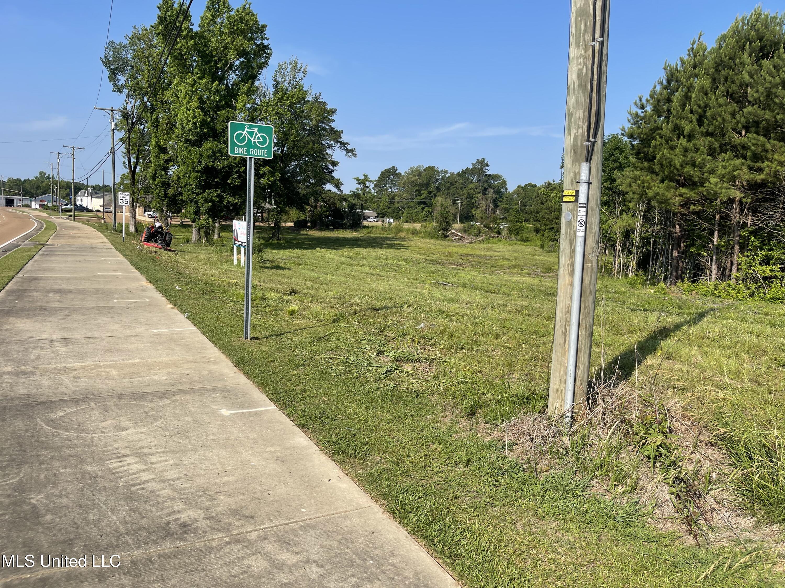 1 Pinehaven Place Clinton, MS 39056 - Photo 5 of 5 Pinehaven Acreage Site 4