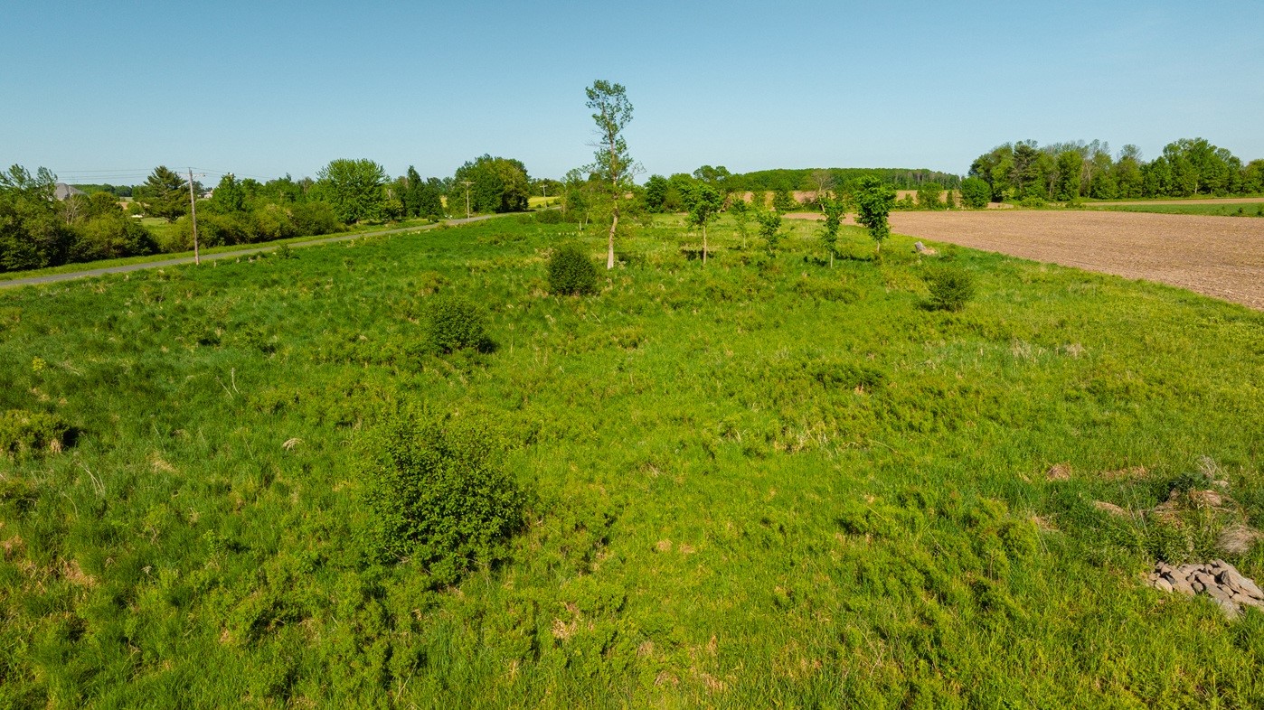 0 Nyes Road Stanley, WI 54768 - Photo 23 of 24