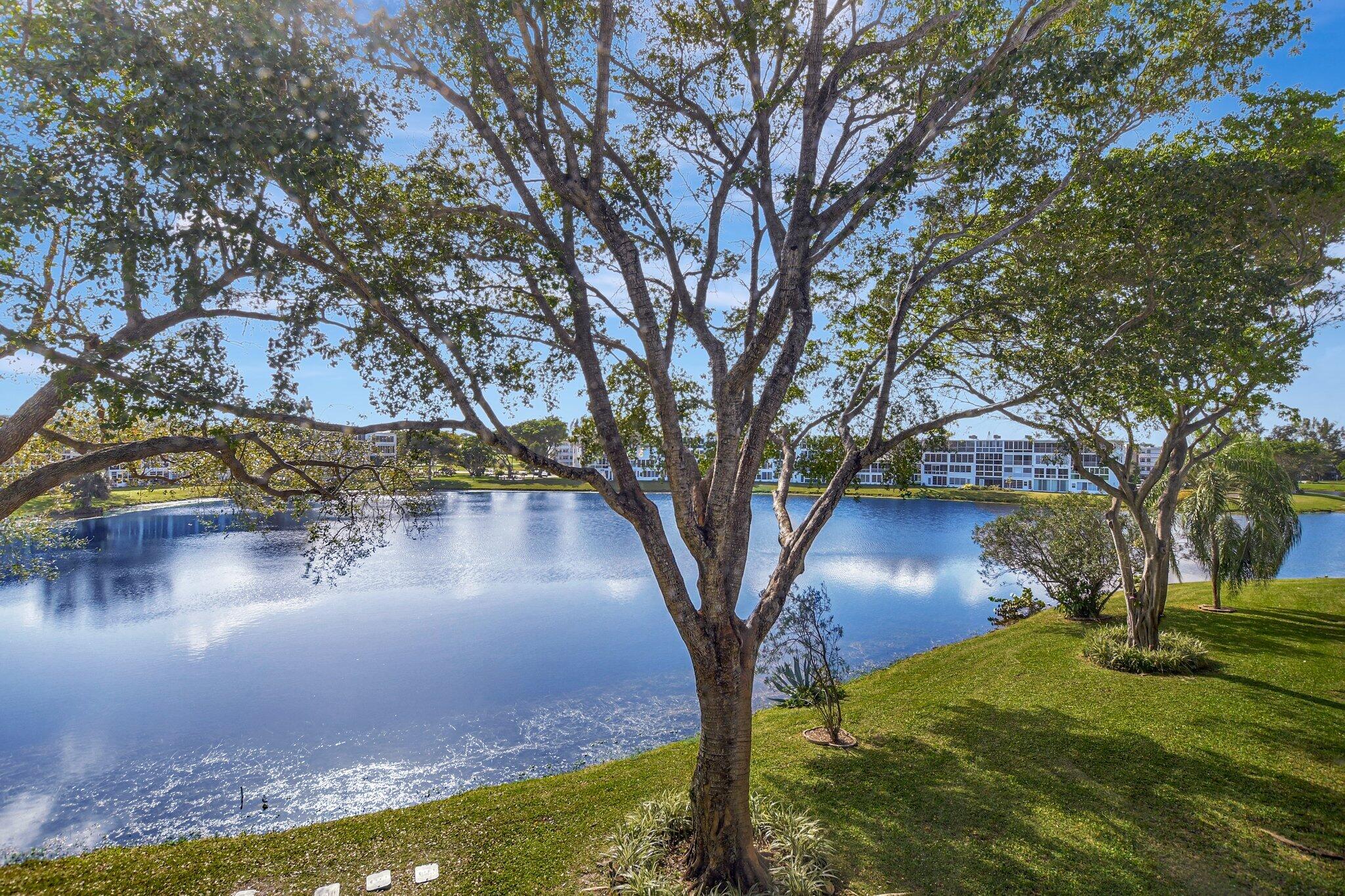 2051 Cambridge C Deerfield Beach, FL 33442 - Photo 20 of 76 24-web-or-mls-DSC_3081