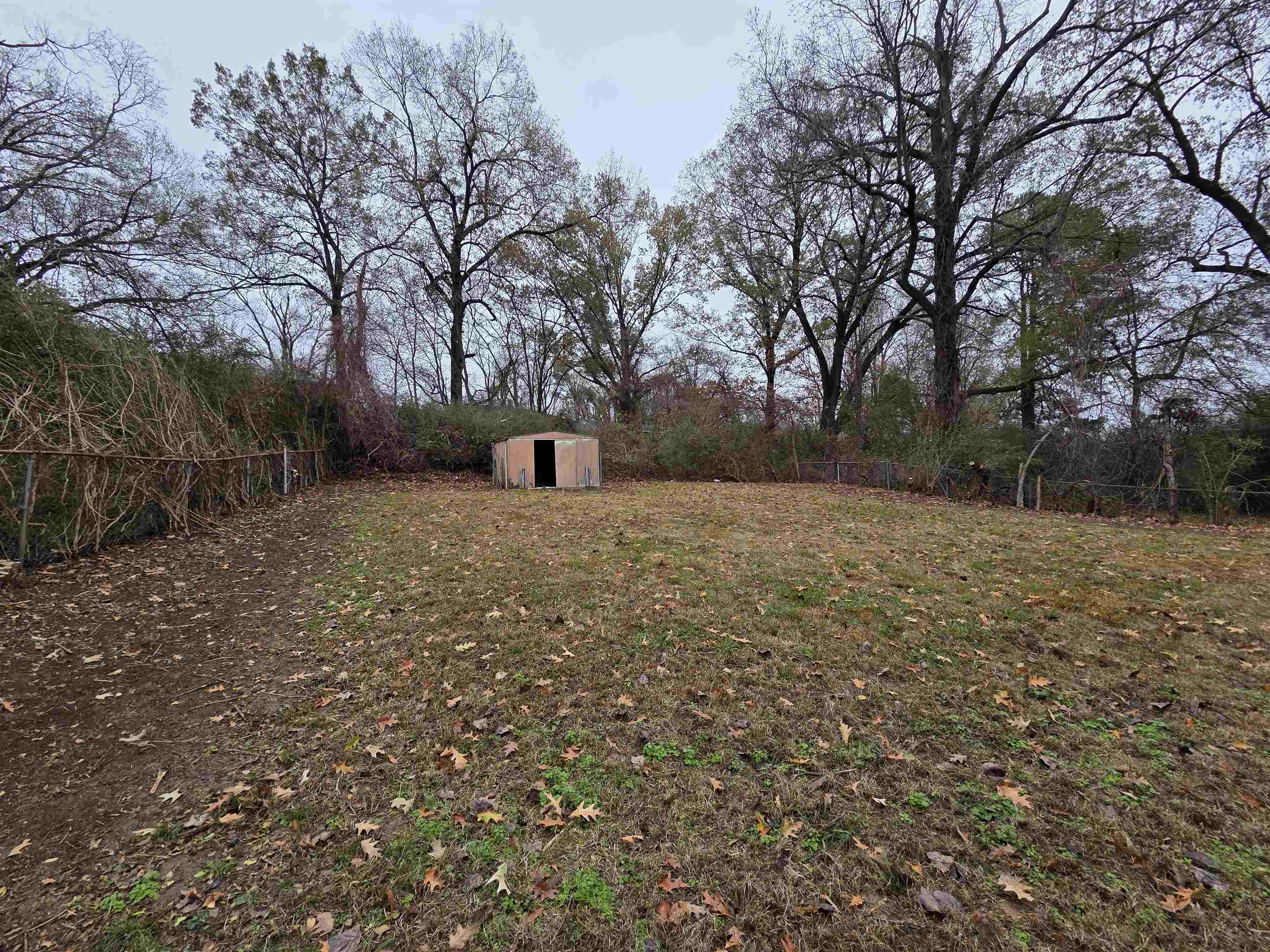 2192 Lisa Avenue Memphis, TN 38127 - Photo 18 of 21 a backyard of a house with lots of green space