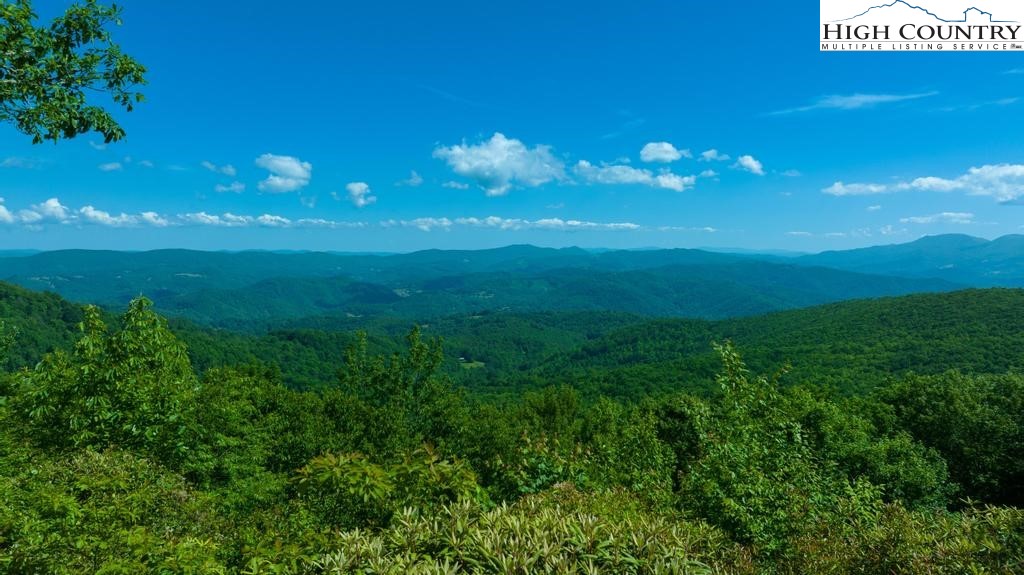 3897 Andy Hicks Road Banner Elk, NC 28604 - Photo 3 of 47 Gallery Image 3
