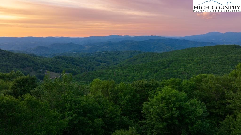 3897 Andy Hicks Road Banner Elk, NC 28604 - Photo 43 of 47 Gallery Image 43