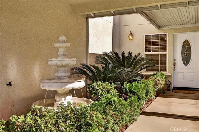 a potted plant sitting in front of a door