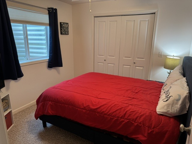 318 Piazza Lane Chatham, IL 62629 - Photo 39 of 43