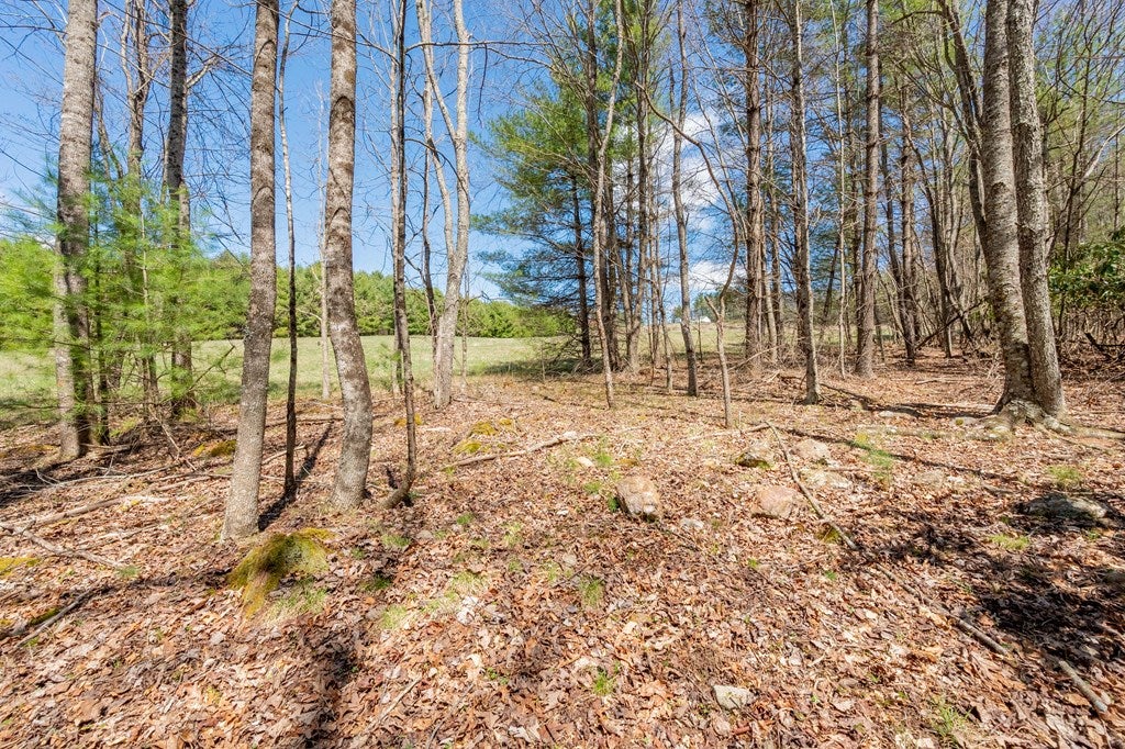 0 Windsor Road Northwest, Unit 3 Willis, VA 24380 - Photo 33 of 47 Gallery Image 33