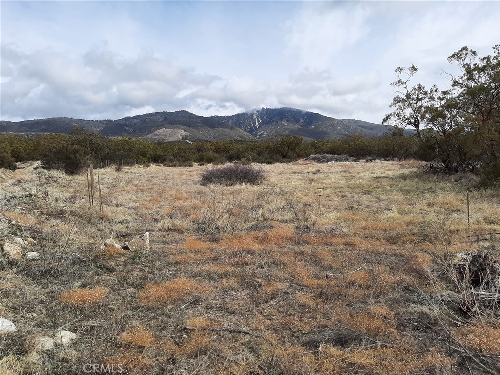 0 Howard Road Anza, CA 92539 - Photo 4 of 4 a view of lake