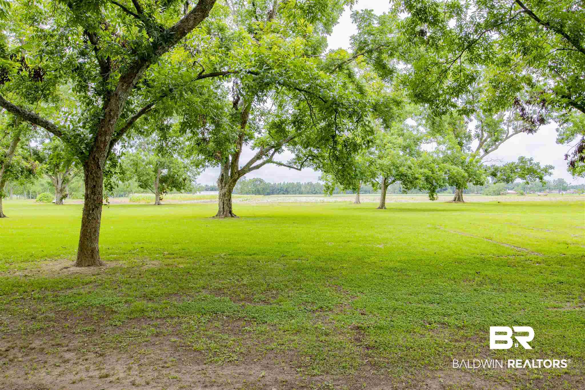 707 West Azalea Avenue Foley, AL 36535 - Photo 13 of 50