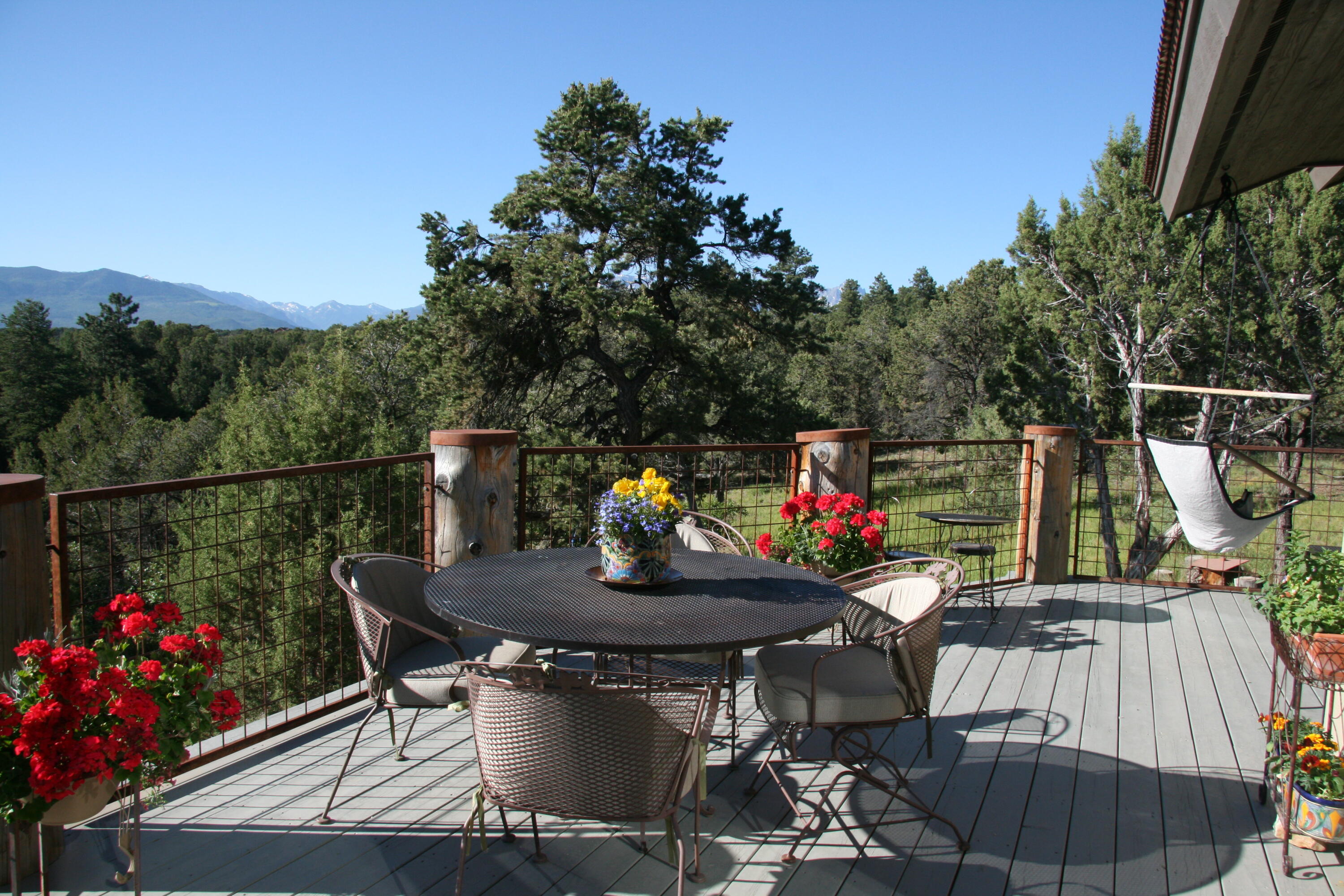 499 Waterview Lane Ridgway, CO 81432 - Photo 12 of 43 a view of deck and patio