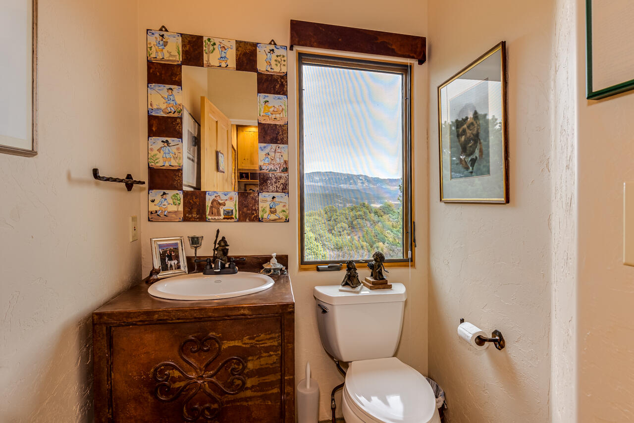 499 Waterview Lane Ridgway, CO 81432 - Photo 17 of 43 a bathroom with a toilet sink and mirror