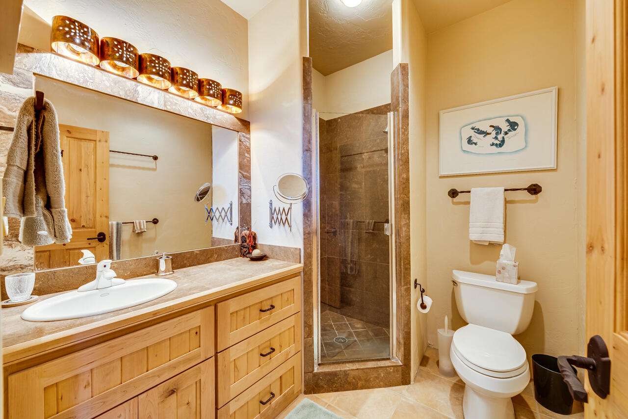 499 Waterview Lane Ridgway, CO 81432 - Photo 20 of 43 a bathroom with a toilet sink and shower