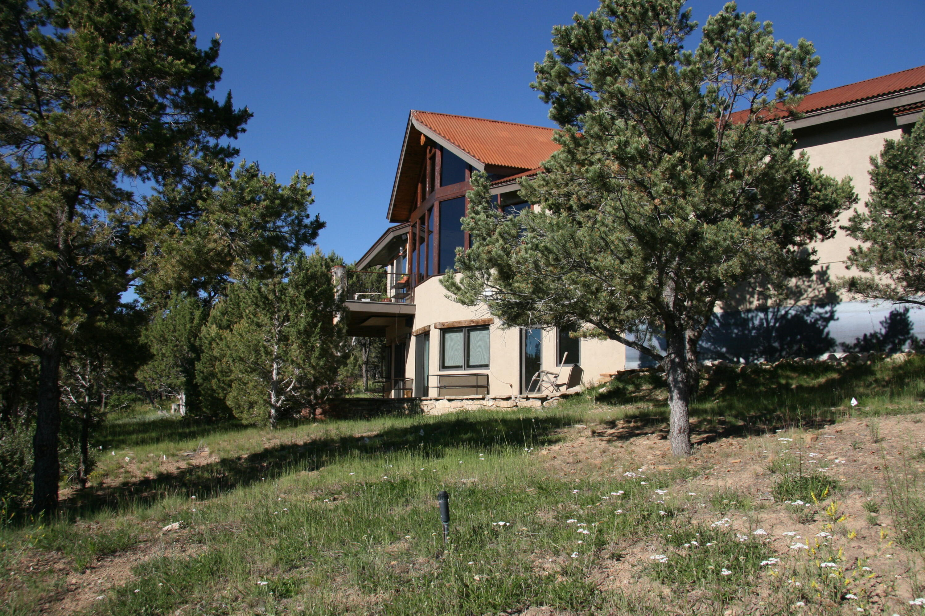 499 Waterview Lane Ridgway, CO 81432 - Photo 28 of 43 a front view of a house with a yard