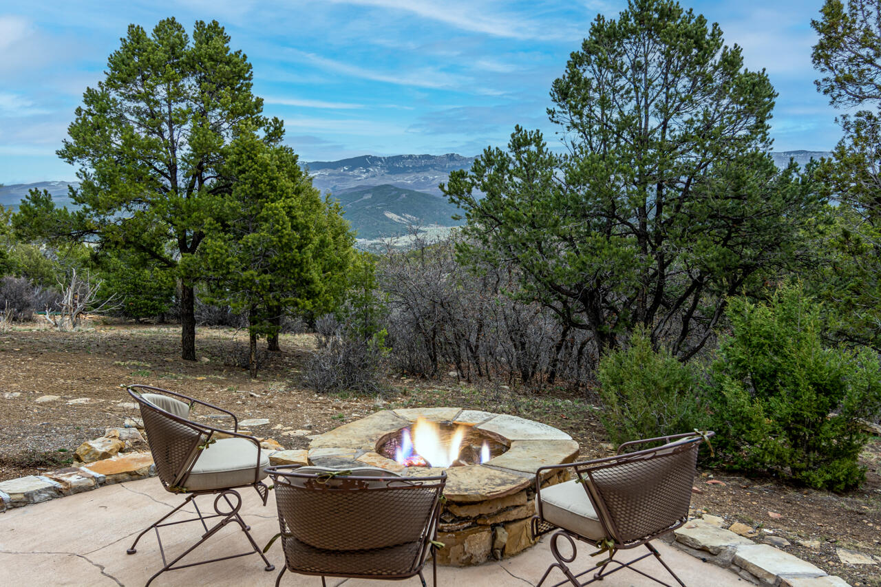499 Waterview Lane Ridgway, CO 81432 - Photo 32 of 43 a backyard of a house with table and chairs