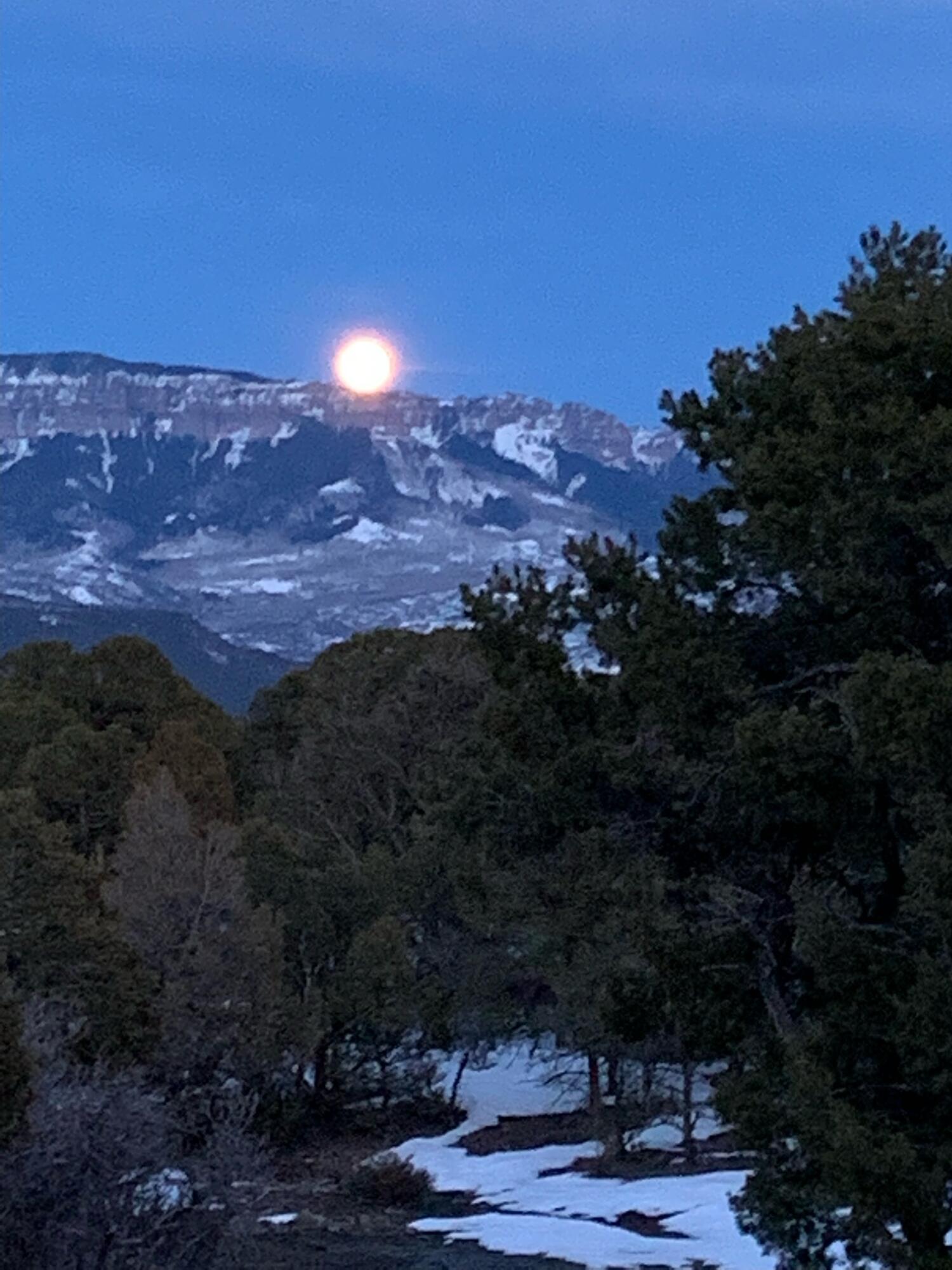 499 Waterview Lane Ridgway, CO 81432 - Photo 37 of 43