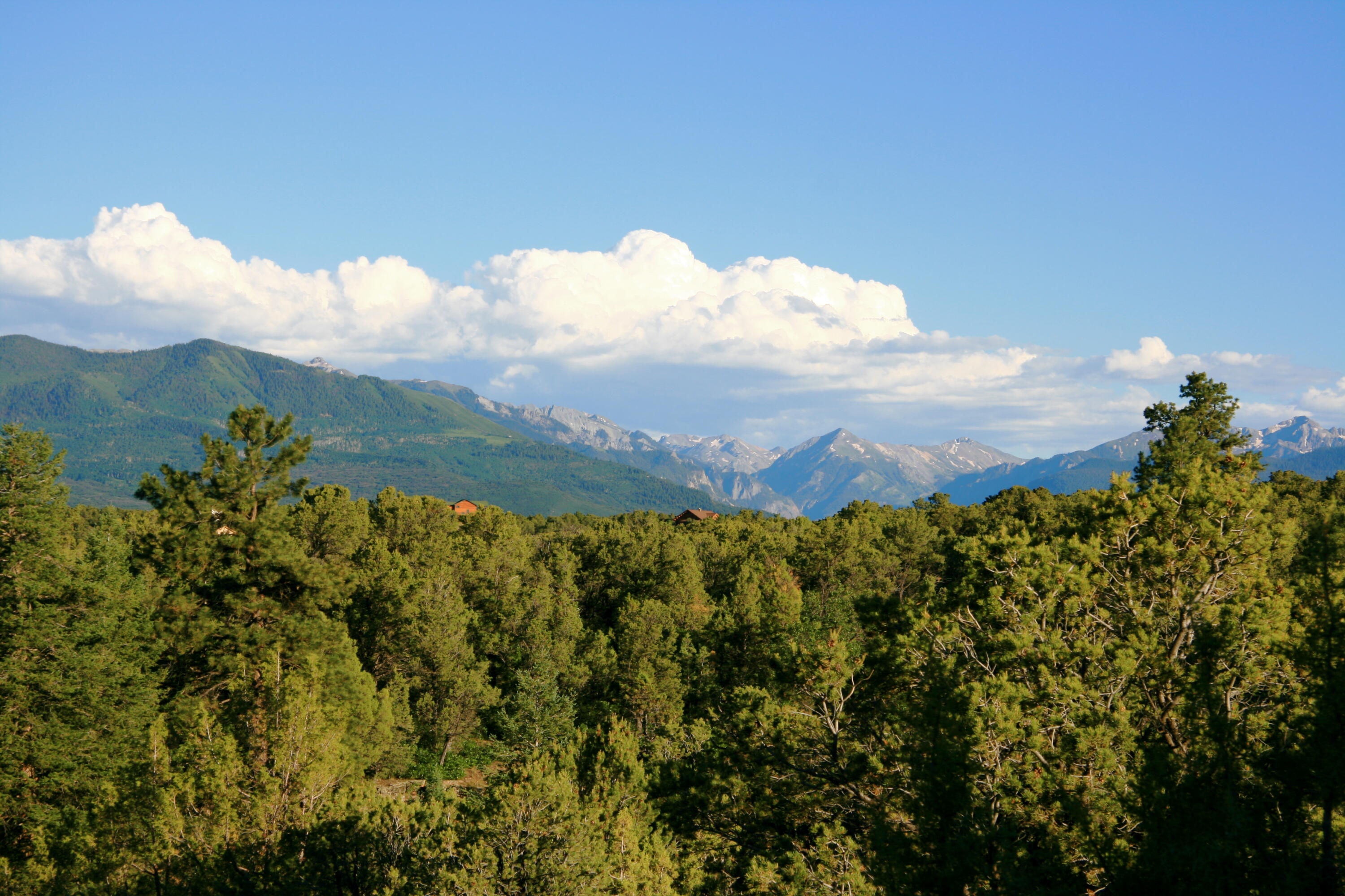 499 Waterview Lane Ridgway, CO 81432 - Photo 40 of 43 a view of a city