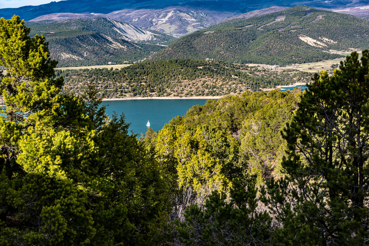 499 Waterview Lane Ridgway, CO 81432 - Photo 41 of 43 a view of a garden