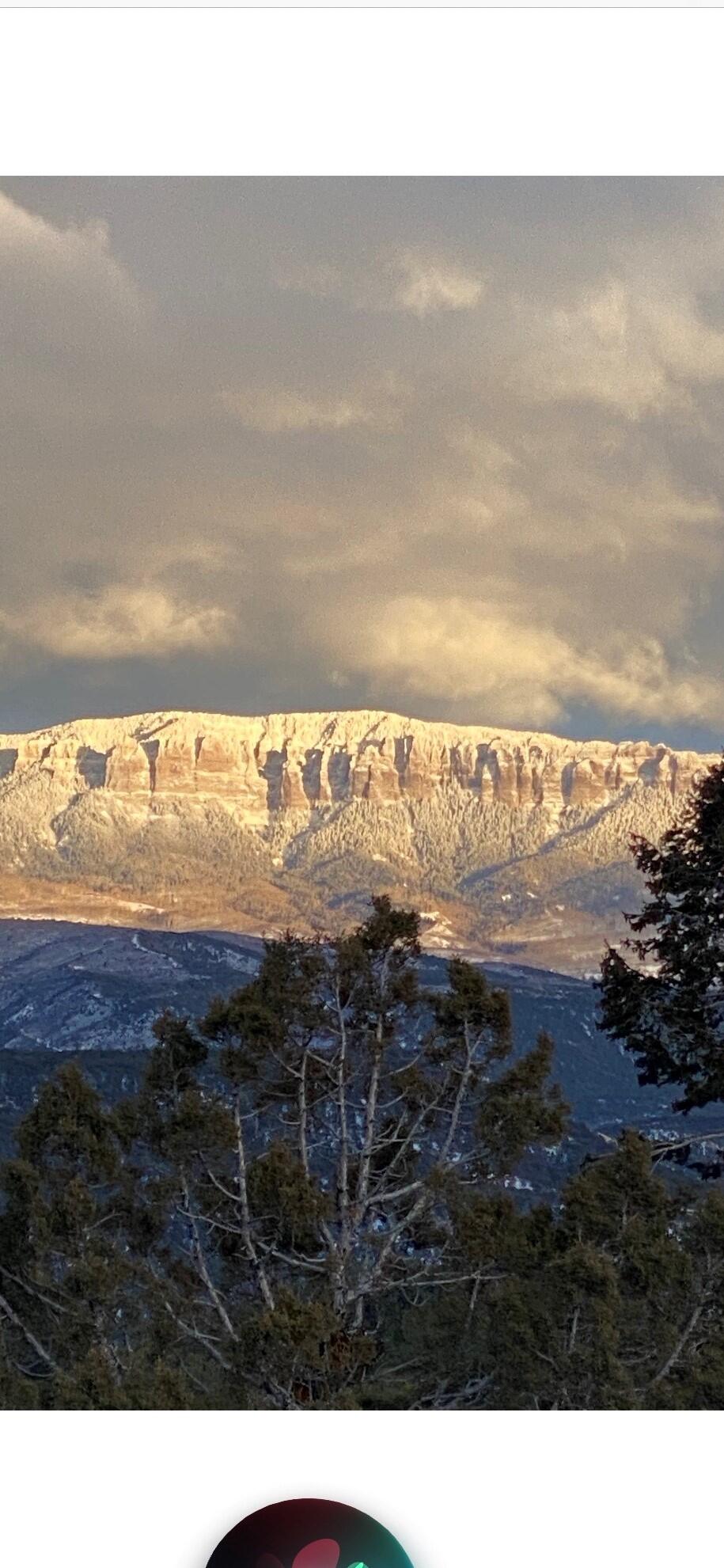 499 Waterview Lane Ridgway, CO 81432 - Photo 42 of 43