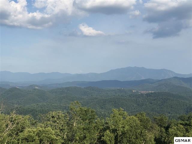 129 Bluff Mountain Road Sevierville, TN 37876 - Photo 7 of 7 Gallery Image 7