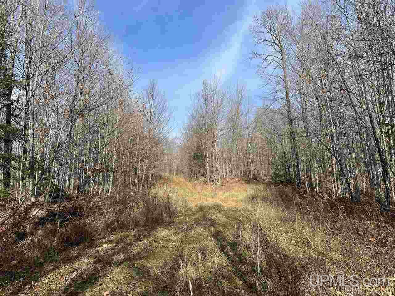6978 W Coffee Road Montreal, WI 54550 - Photo 23 of 48