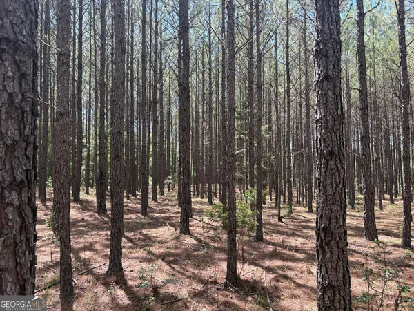 $541,150 | 0 Wriley Road, McIntyre, GA 31054